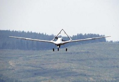 Silahlı kuvvetlere "böcek İHA"lar geliyor