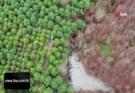 Şile'de ormandaki lastikleri kaldırma çalışmaları havadan görüntülendi