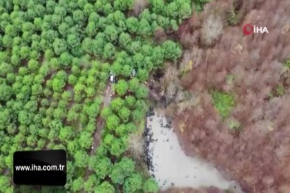 Şile&#039;de ormandaki lastikleri kaldırma çalışmaları havadan görüntülendi
