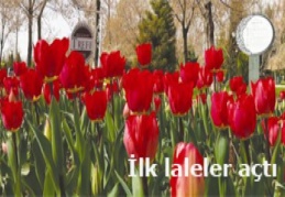 Şimdi de kaçak ilaç furyası başladı