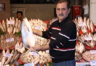 Şimdi palamut zamanı