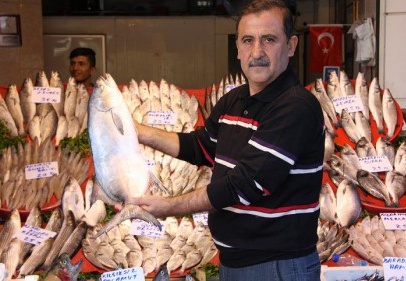 Şimdi palamut zamanı