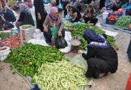 Şimdi tam turşuluk zamanı…