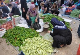 Şimdi tam turşuluk zamanı…