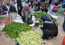 Şimdi tam turşuluk zamanı