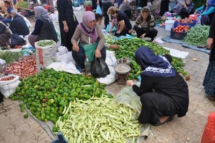 Şimdi tam turşuluk zamanı