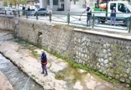 Sinek ve haşere için ilaçlama başladı