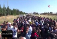 Sınır kapısında 40 derece sıcakta Suriyeli izdihamı