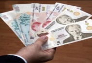 Şirketler liranın hızlı düşüşünden kaygı duyuyor