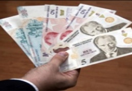 Şirketler liranın hızlı düşüşünden kaygı duyuyor