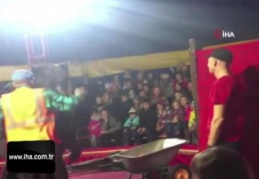 Sirkte gösteri yapan ayı, terbiyecisine saldırdı