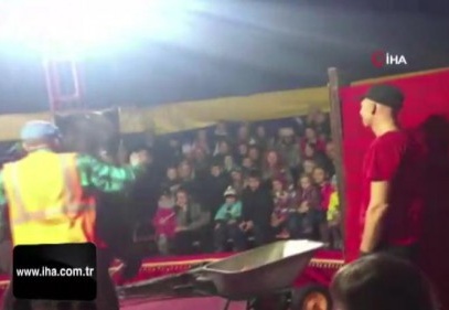 Sirkte gösteri yapan ayı, terbiyecisine saldırdı