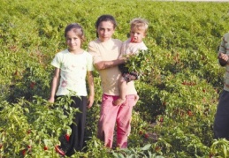 Siyasi partilerin çocuk karneleri “kırık” çıktı