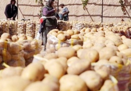 Sofrada lüks haline geldi: Böyle giderse patates ve soğan ithalatı başlayacak