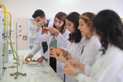 Soğan kabuğundan çay ürettiler