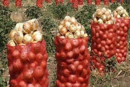 Soğan tarlada 30 kuruş, markette 2 buçuk lira