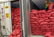 Soğan üreticisi maliyetin altına satış yapıyor