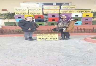 Soğuk kış günlerinde kediler unutulmadı
