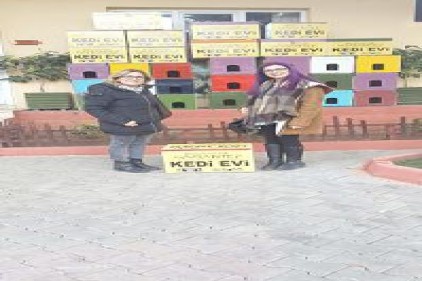Soğuk kış günlerinde kediler unutulmadı
