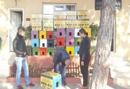 Soğuk kış günlerinde kediler unutulmadı