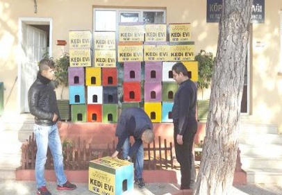 Soğuk kış günlerinde kediler unutulmadı