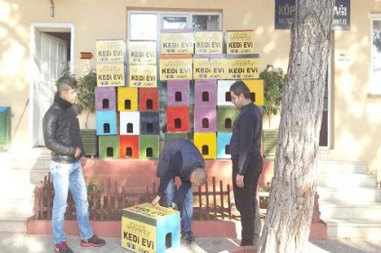Soğuk kış günlerinde kediler unutulmadı