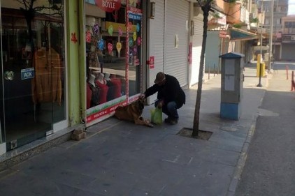 Sokağa çıkma yasağında sevimli dostlarımız unutulmadı