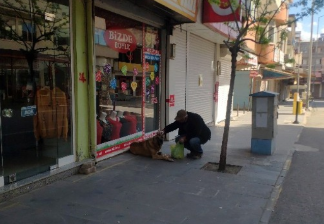 Sokağa çıkma yasağında sokak hayvanları unutulmadı