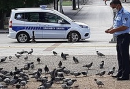 Sokak hayvanları, düzenli olarak besleniyor
