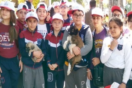 Sokak Hayvanları Günü kutlandı 