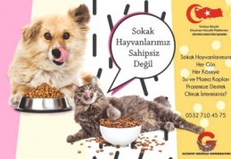 Sokak hayvanları sahipsiz değildir