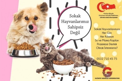 Sokak hayvanları sahipsiz değildir