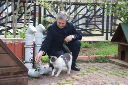 Sokak hayvanları unutulmadı