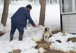 Sokak hayvanlarına mama ve su bırakılıyor