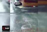 Sokakları dans ederek temizliyor