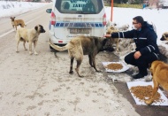 Sokakta yaşayan can dostlarımızı unutmuyoruz