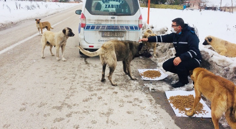 Sokakta yaşayan can dostlarımızı unutmuyoruz