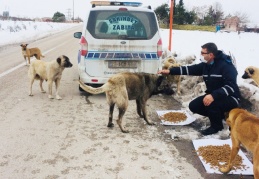 Sokakta yaşayan can dostlarımızı unutmuyoruz