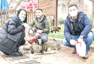 Sokaktaki canlar aç kalmasın