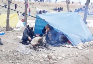 Son 10 yılda zorla yerinden edilen kişi sayısı ikiye katlandı