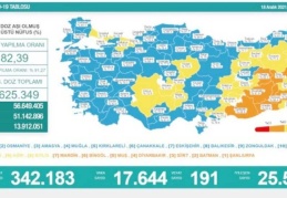 Son 24 saatte 17 bin 644 vaka, 191 ölü