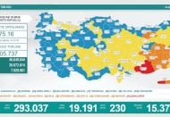 Son 24 saatte 19 bin 191 vaka, 230 ölüm