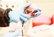 Son 24 saatte 231 kişi hayatını kaybetti