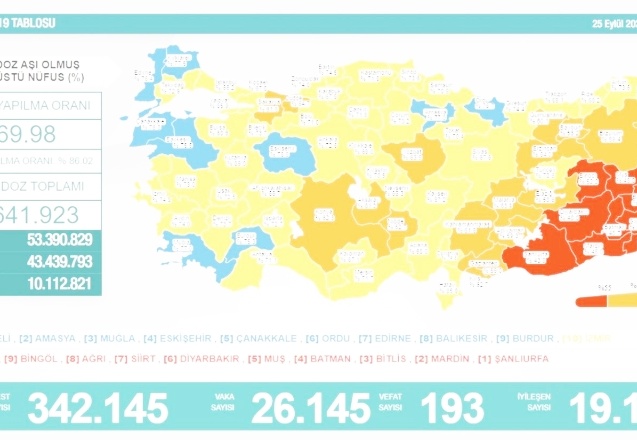 Son 24 saatte 26 bin 145 vaka, 193 ölüm