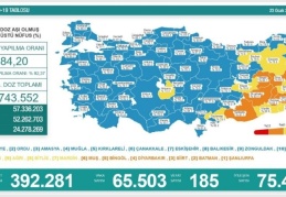 Son 24 saatte 65 bin 503 vaka, 185 ölüm