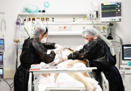 Son 24 saatte 92 kişi daha yaşamını yitirdi