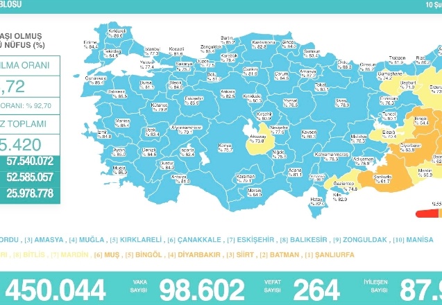 Son 24 saatte korona virüsten 264 kişi hayatını kaybetti