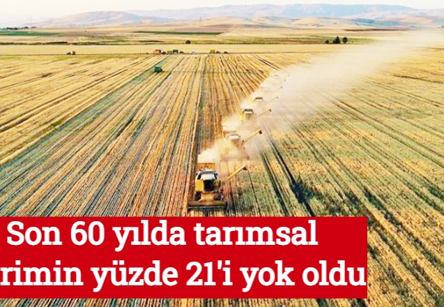 Son 60 yılda tarımsal verimin yüzde 21'i yok oldu