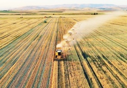 Son 60 yılda tarımsal verimin yüzde 21'i yok oldu
