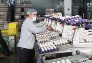 Son bir ay içerisinde, yumurtanın koli fiyatına yüzde 30 zam geldi